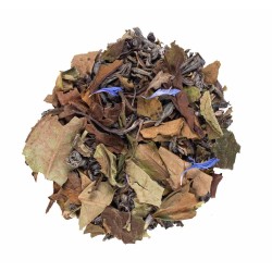 Pawilon Kwiatów - Herbata Biała z lawendą, rozmarynem i cytryną | Smakołak